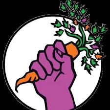 Food Not Bombs